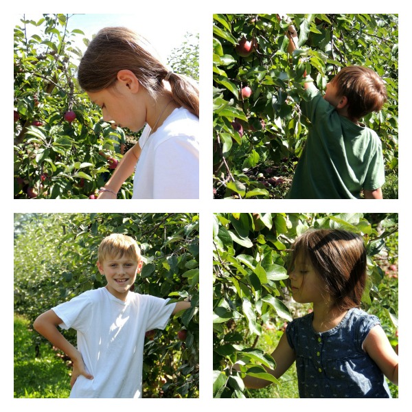 Our Children Apple Picking