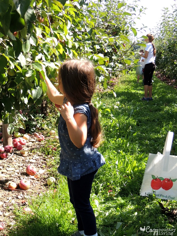 Our Girls Picking Apples