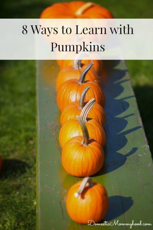 learn-with-pumpkins-Domestic-Mommyhood