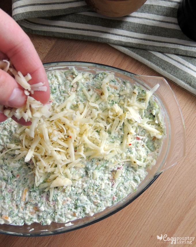 Adding more Pepper Jack to Broccoli & Pepper Jack Cheese Dip