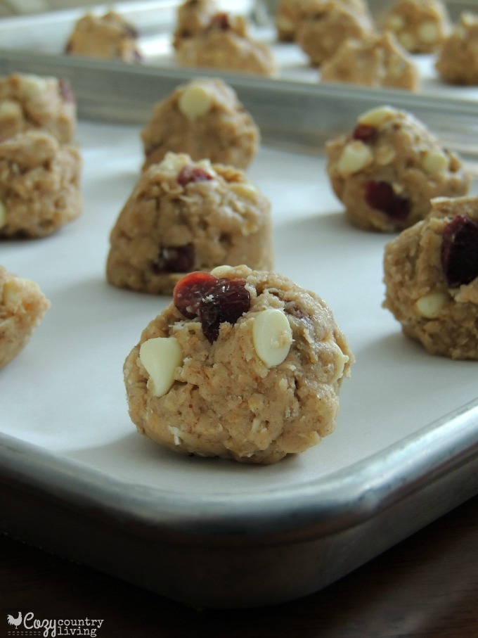 Cranberry & White Chocolate Oat Cookie Dough