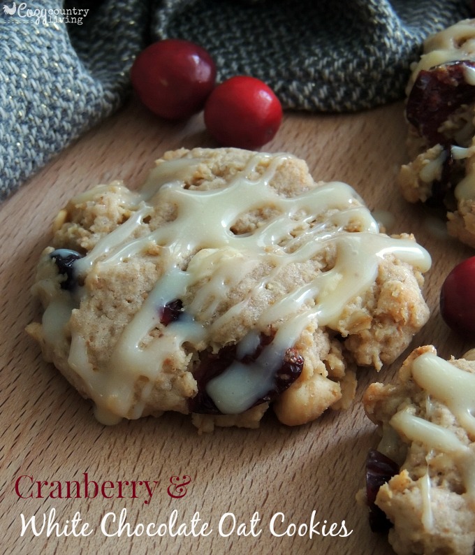 Cranberry & White Chocolate Oat Cookies