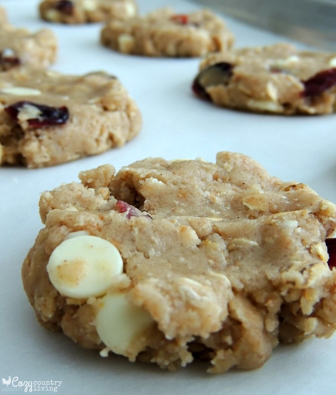 Flatten the Cranberry & White Chocolate Oat Cookies