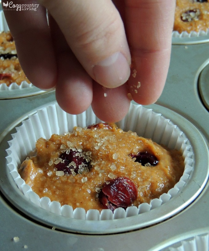 Sprinkling Sugar on Top of Cranberry Pumpkin Muffins