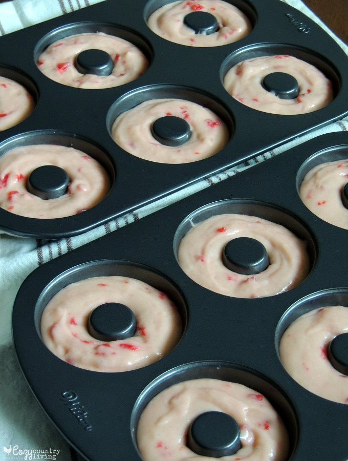Cherry Cake Donuts Ready for the Oven