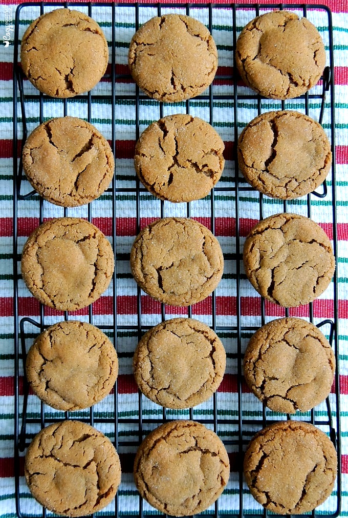 Freshly Baked Warm Old Fashioned Molasses Cookies