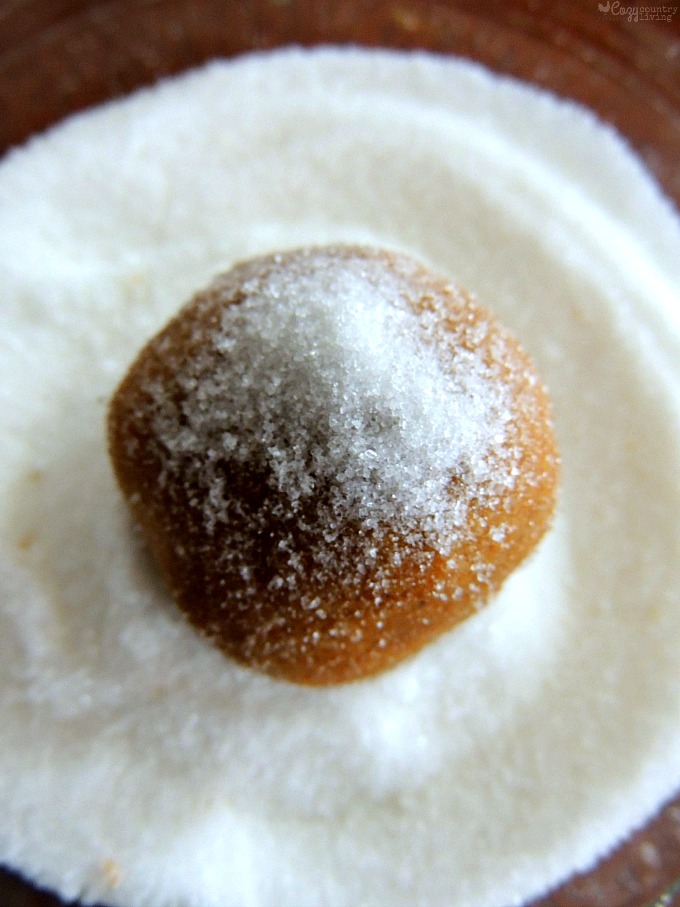 Molasses Cookie Dough Balls Rolled in Sugar