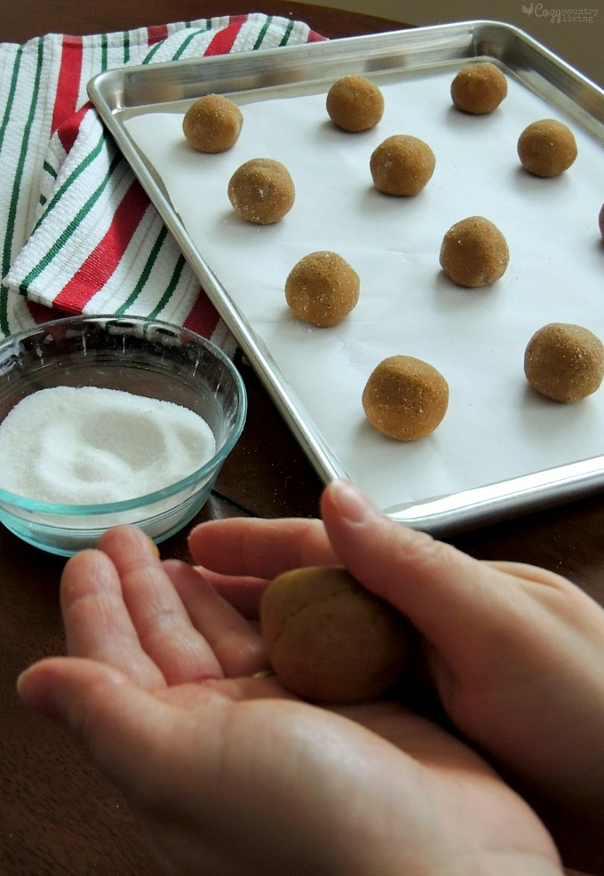 Rolling Old Fashioned Molasses Cookie Dough into Balls
