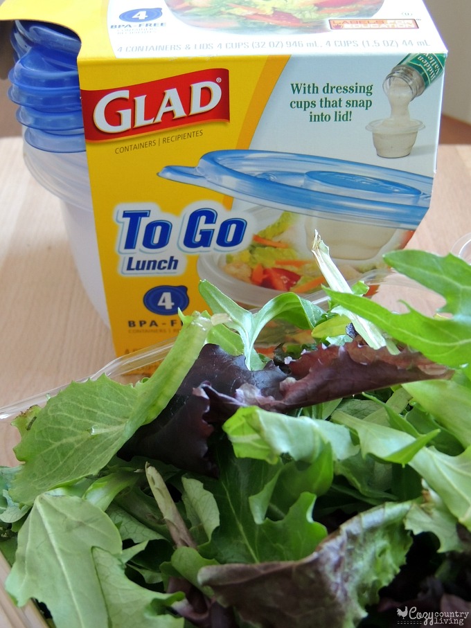 Convenient Glad To Go Lunch Containers