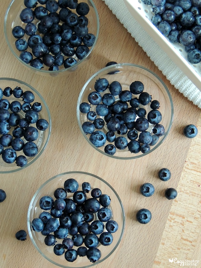 First Layer Blueberry Granola Yogurt Parfaits