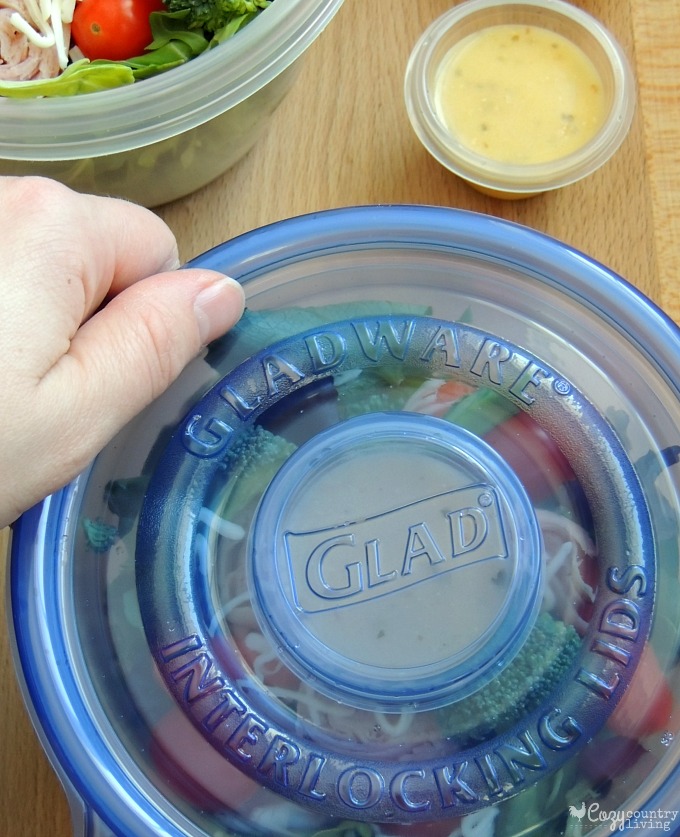 Glad To Go Lunch Containers with Dressing Contanier