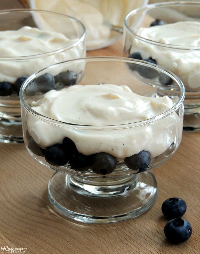 Second Layer Blueberry Granola Yogurt Parfaits