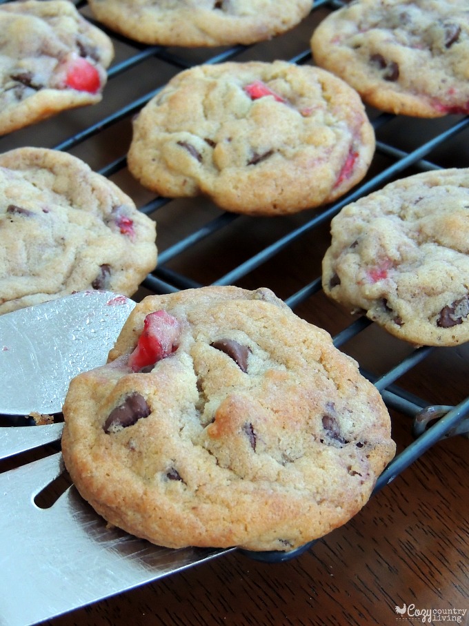 Strawberry Chocolate Chip Cookies Warm from the Oven