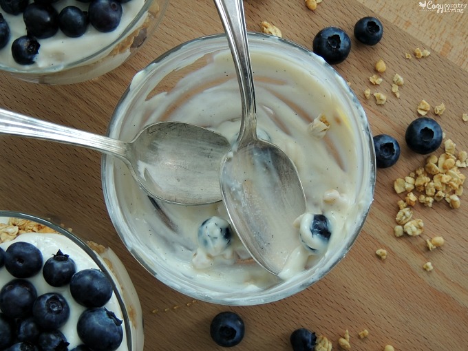 Yummy Blueberry & Granola Yogurt Parfaits