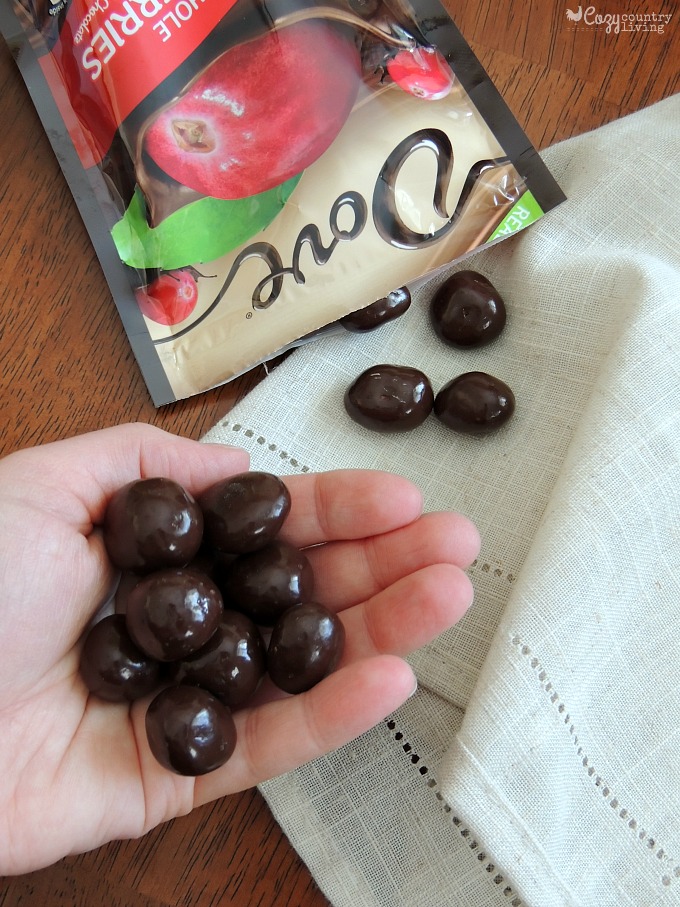 A Handful of DOVE® Fruit for Snack Time