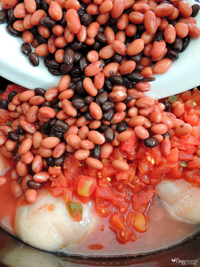 Add Beans to Mexican Chicken Soup