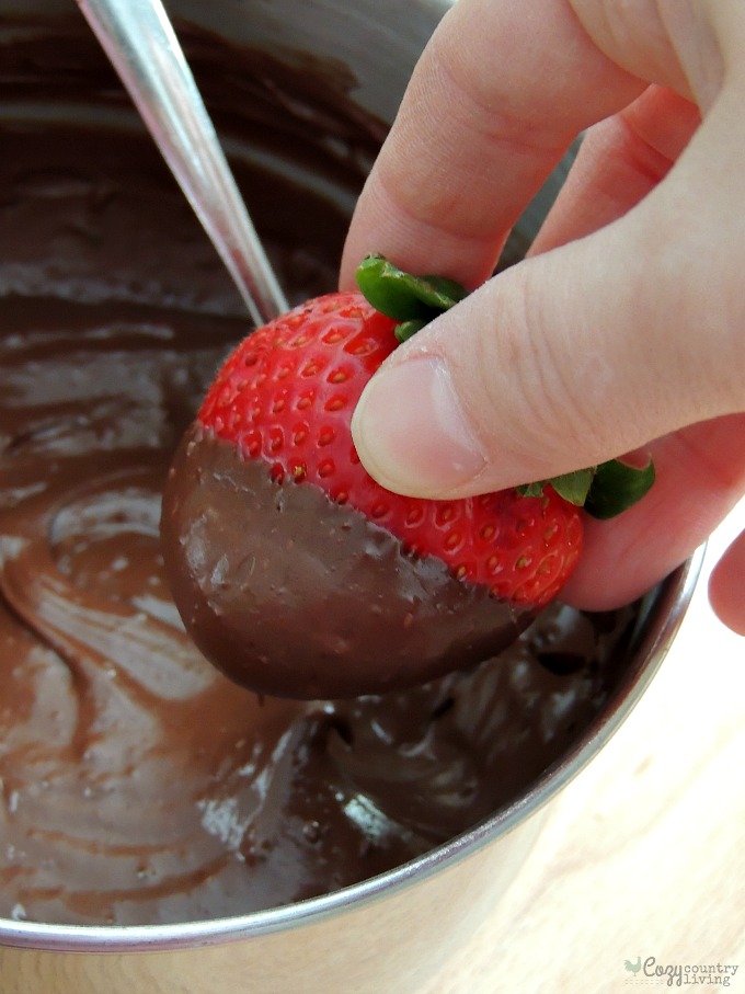 Dipping Strawberries in Chocolate