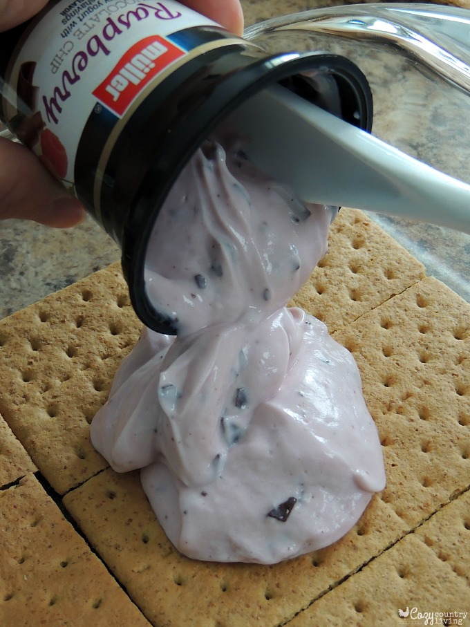 Graham Cracker Yogurt Layers Icebox Cake