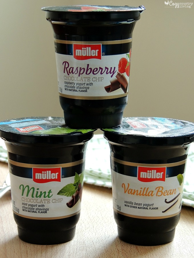 Müller Ice Cream Inspired Yogurt Flavors