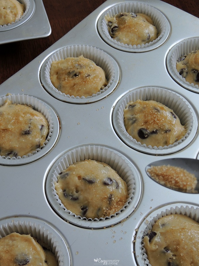 Sprinkling Sugar on top of Chocolate Chip Muffins