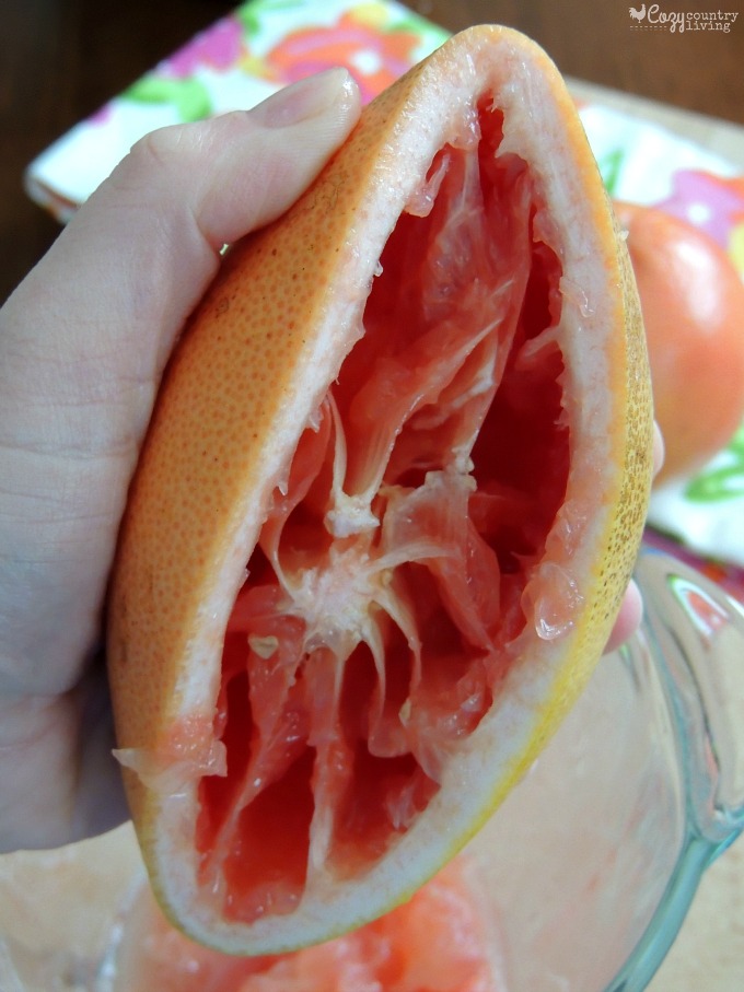 Squeezing Juice from a Florida Grapefruit for Popsicles