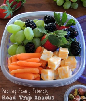 Packing Family Friendly Road Trip Snacks - Cozy Country Living