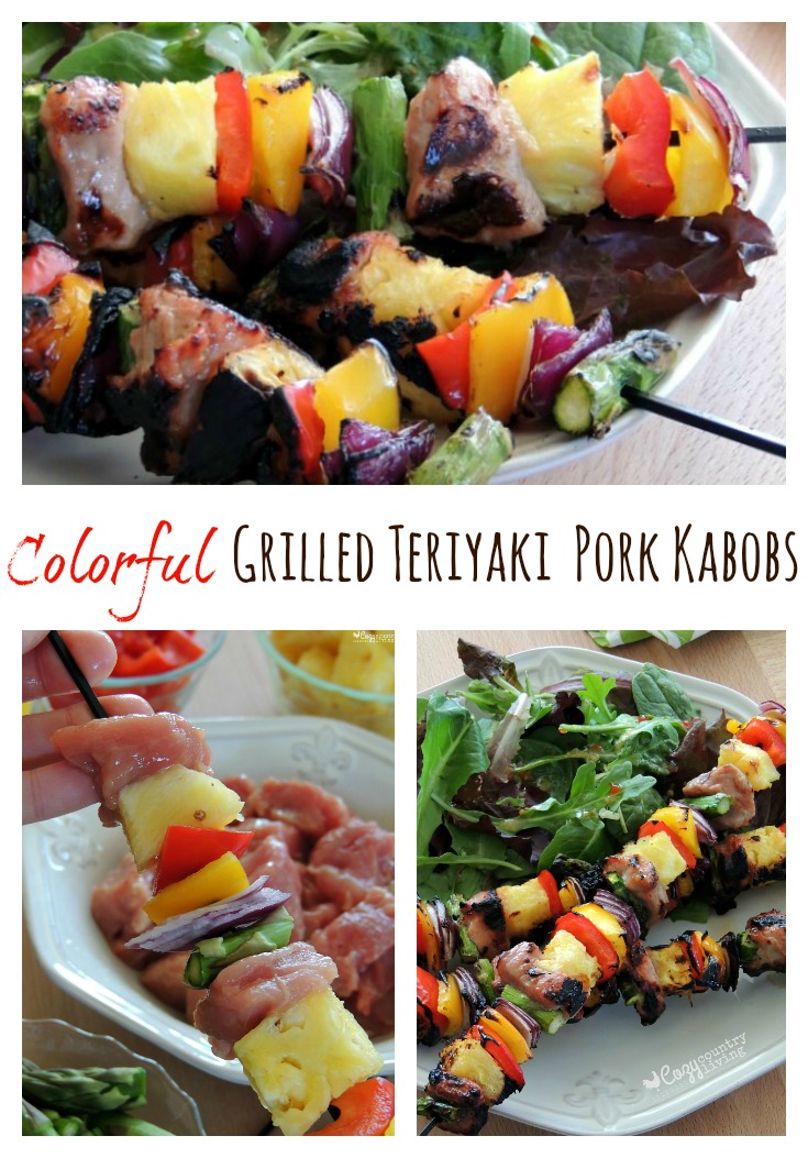 Colorful Grilled Teriyaki Pork Kabobs Weeknight Dinner Idea