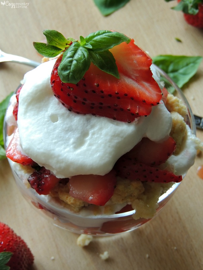 Delicious Fresh Strawberry & Basil Individual Shortcakes for Dessert