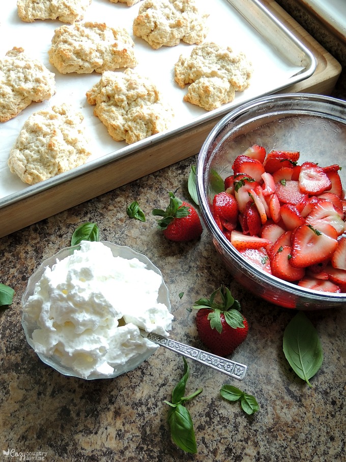 Making Fresh Strawberry & Basil Shortcakes for Dessert
