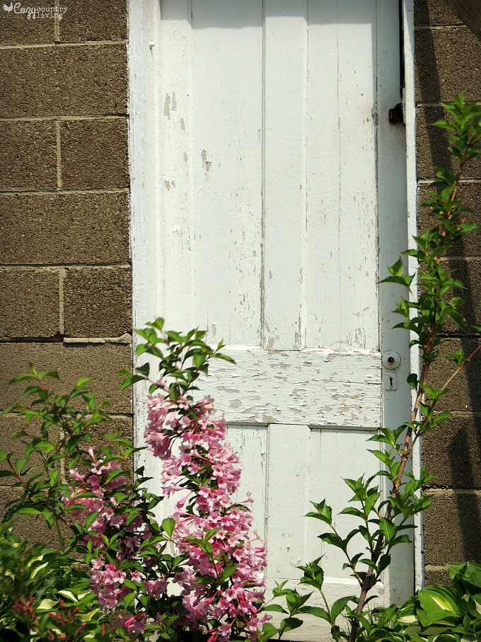My Chippy Painted Old Garden Shed Door