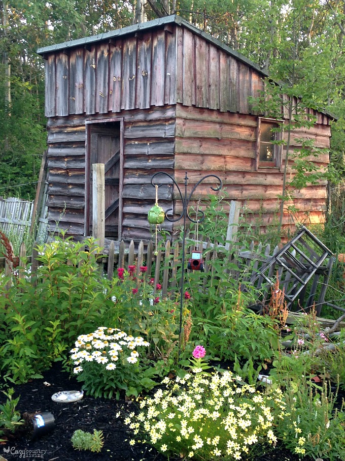 Old Rustic Gardening Shed