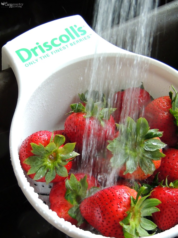 Rinsing Strawberries for Strawberry & Basil Shortcakes