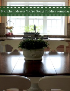 3 Kitchen Messes You're Going To Miss Someday & How To Quickly Clean Them Up