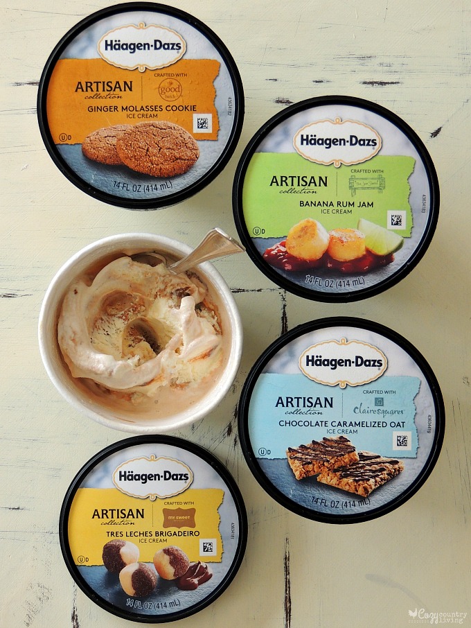 NEW Häagen Dazs Artisan Collection Ice Cream Flavors