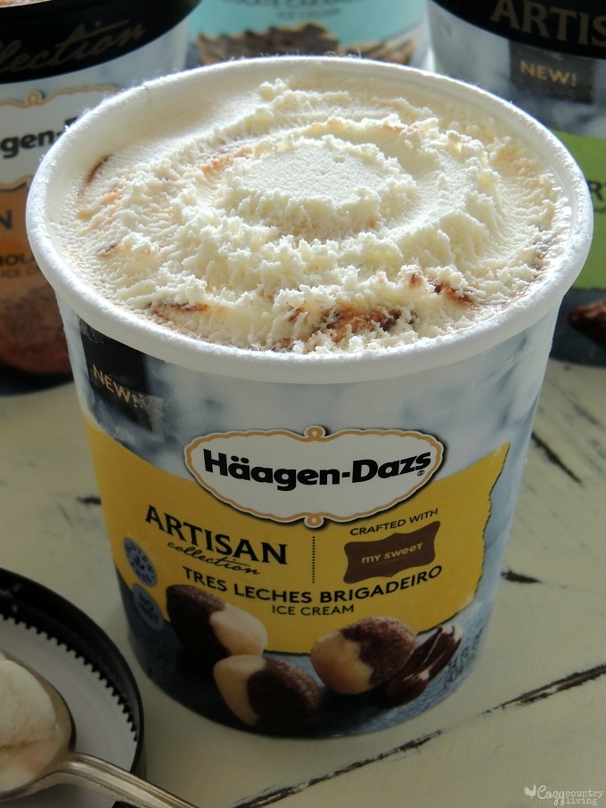 NEW Häagen-Dazs NEW Artisan Collection Tres Leches Brigadeiro Ice Cream