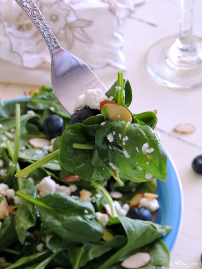 Fresh Spinach Salad for Lunch