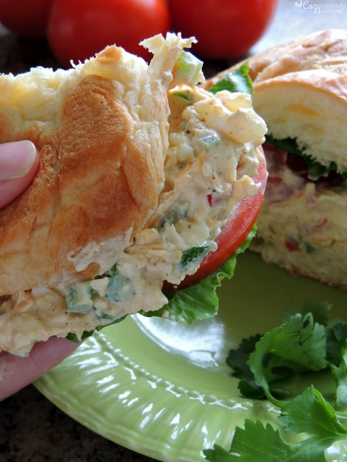 Lunch Time! Delicious & Flavorful Mexican Egg Salad Sandwiches