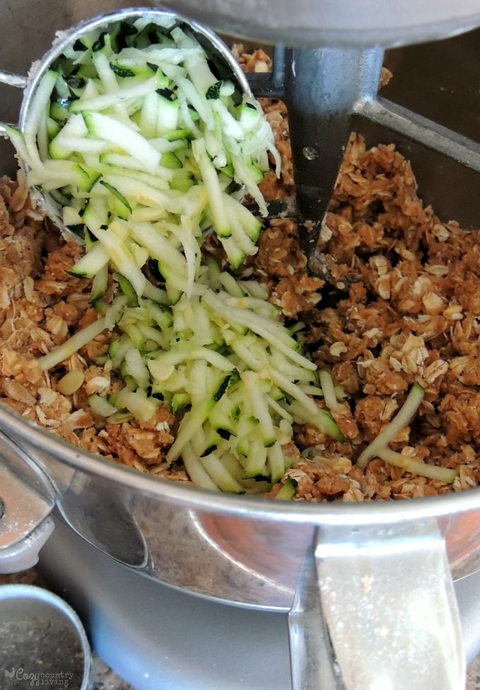 Adding Zucchini to Oatmeal Cookie Batter