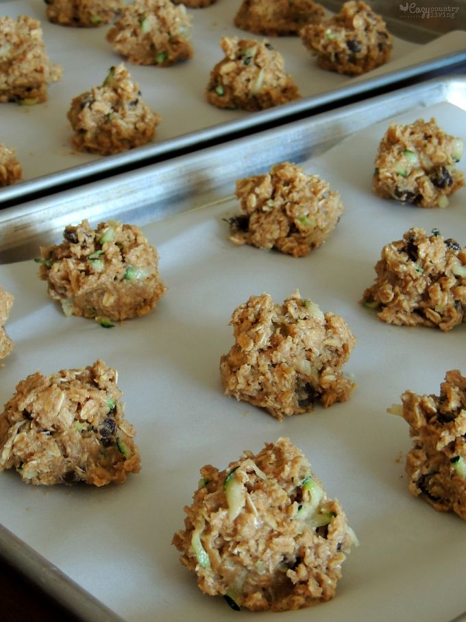 Chocolate Chip & Zucchini Oatmeal Cookies Ready for the Oven