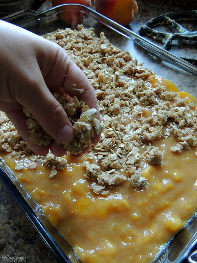 Crumble Topping for Peach Bars
