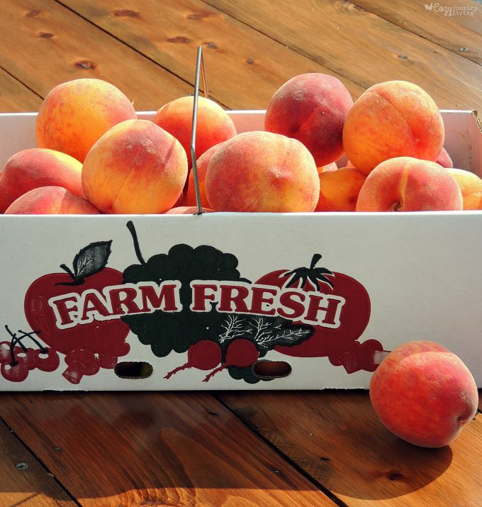 Fresh Red Haven Peaches