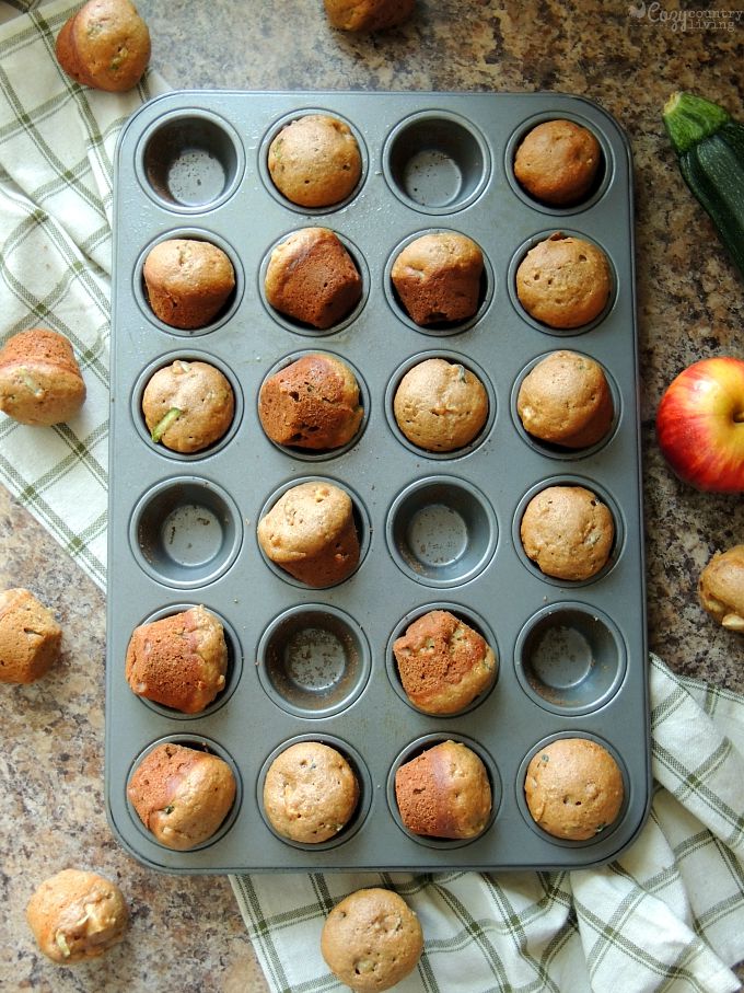 Snack Time! Apple & Zucchini Mini Muffins