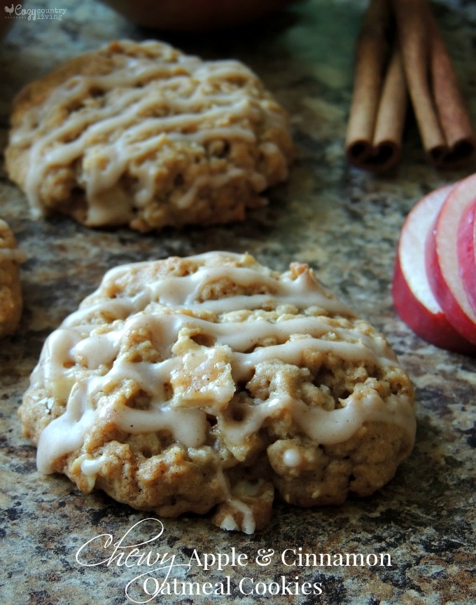 Fall Inspired Chewy Apple & Cinnamon Oatmeal Cookies for Dessert