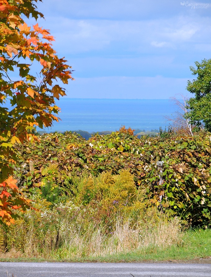 Fall Overlooking Lake Erie