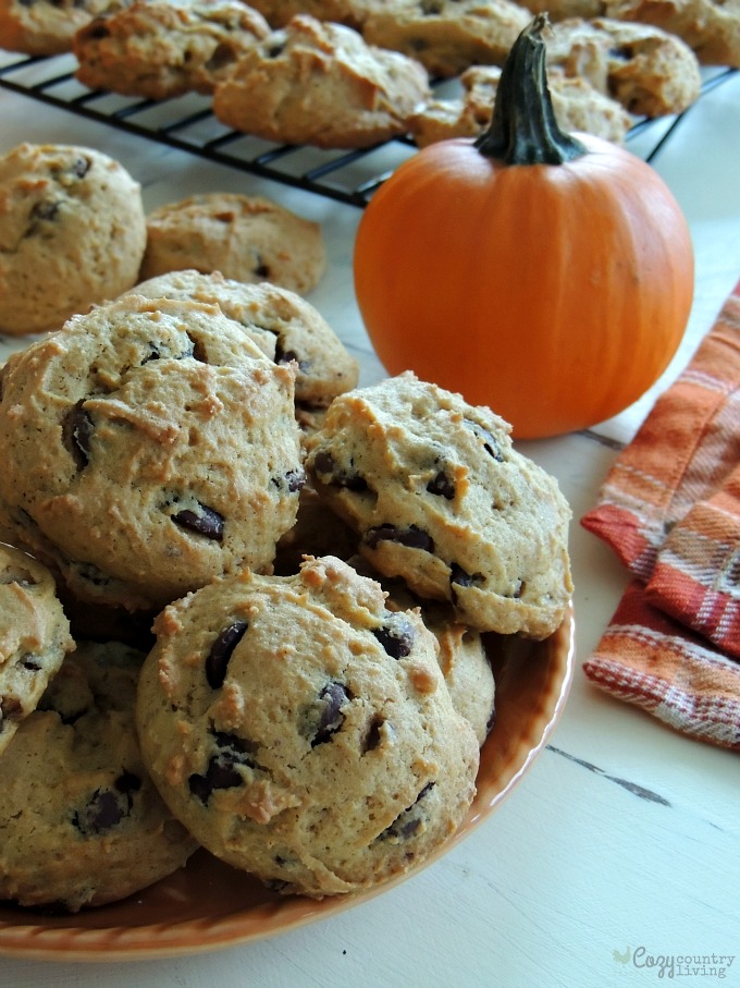 Freshly Baked Pumpkin Spice Chocolate Chip Cookies for Dessert