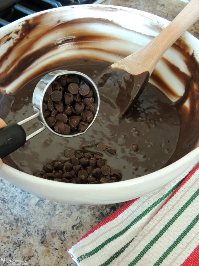 Adding Chocolate Chips to Pancake Mix