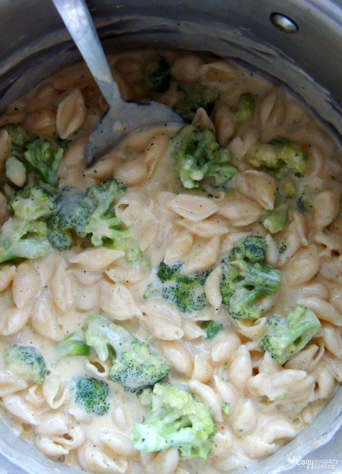 Combining Ingredients fro Creamy Cheddar & Broccoli Shells