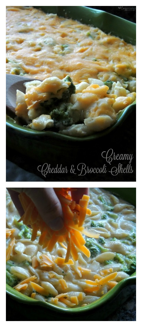 Creamy Cheddar & Broccoli Shells for a Tasty Weeknight Family Dinner