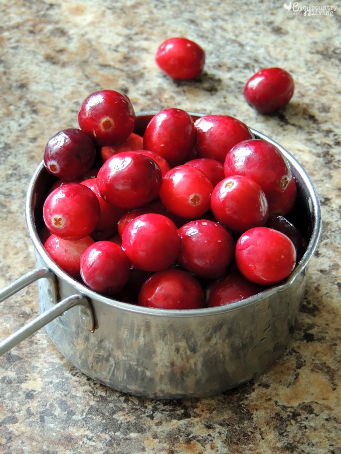 Fresh Cranberries for Apple & Cranberry Oat Crisp