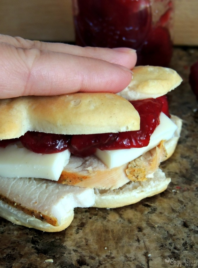 Fun Turkey, Cranberry & Brie Sandwiches for Thanksgiving